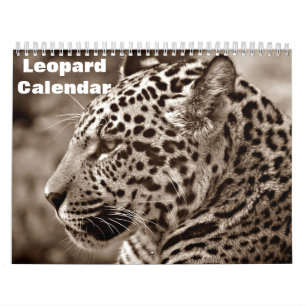 2027 Leopard Kalender