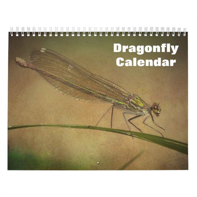 2027 Libelle Kalender (Titelbild)