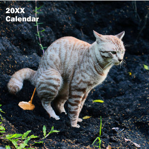 2027 Lustige Katzen machens auf dem Klo Kalender P