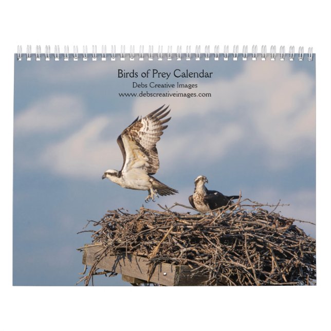 2027 Majestätische Raubvögel | Greifvögel Kalender (Titelbild)