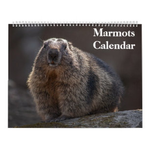 2027 Murmeltier-Kalender Kalender