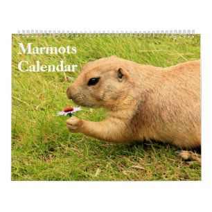2027 Murmeltier-Kalender Kalender