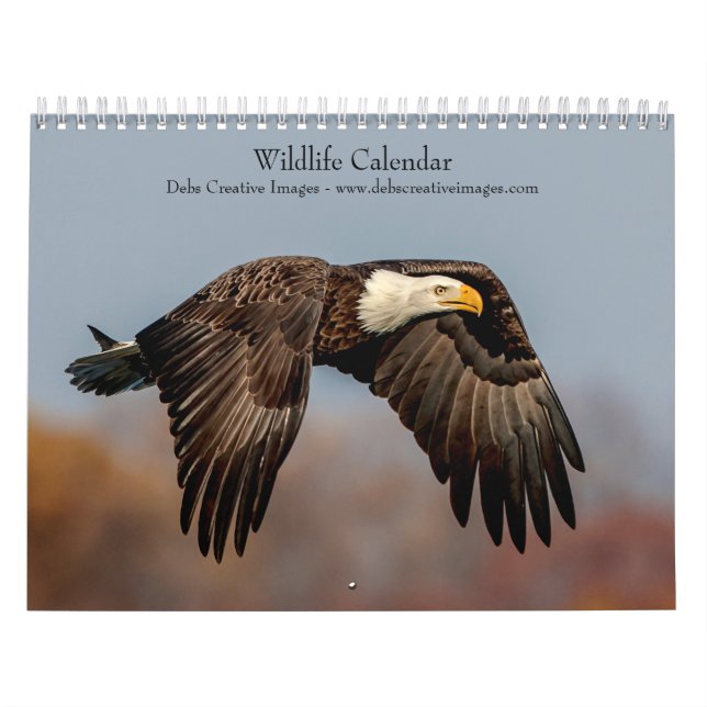 2027 Nordamerikanische Tierwelt | Naturfotografie Kalender (Titelbild)