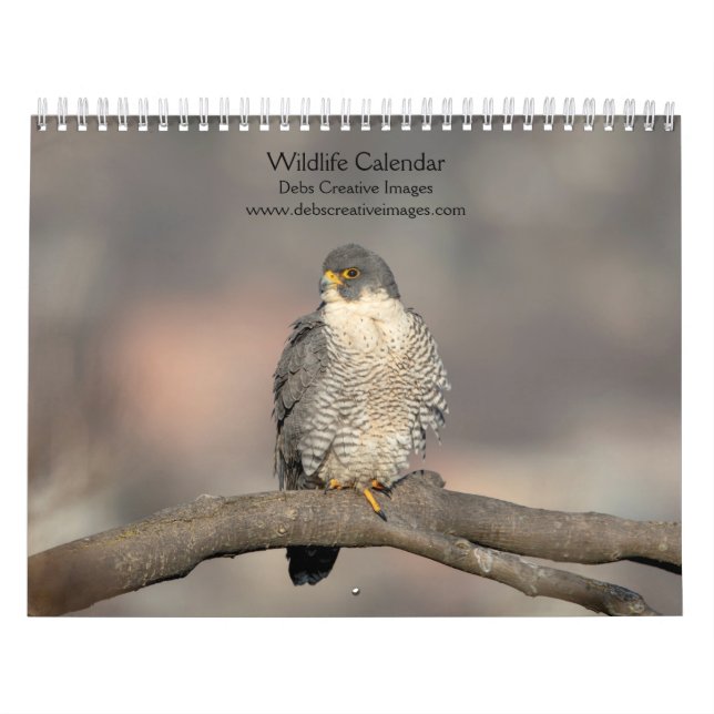 2027 Nordost-Wildlife | Vögel & Säugetiere Kalender (Titelbild)