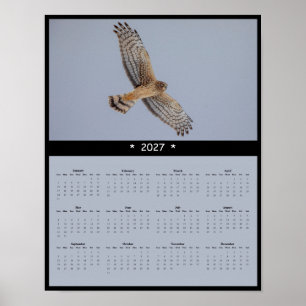 2027 Northern Harrier Wandkalender - Grasland Poster