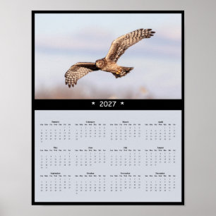2027 Northern Harrier Wandkalender - Marsh Glider Poster