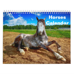 2027 Pferd Kalender