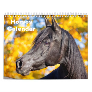 2027 Pferd Kalender