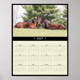 2027 Pferde-Wandkalender - Equine Fotografie Poster