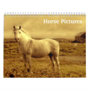 2027 Pferdebilder Bilder  Kalender
