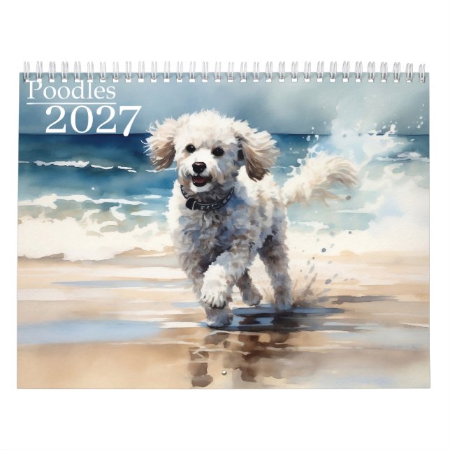 2027 Poodles  Kalender (Titelbild)