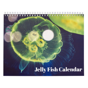 2027 Qualle-Kalender Kalender
