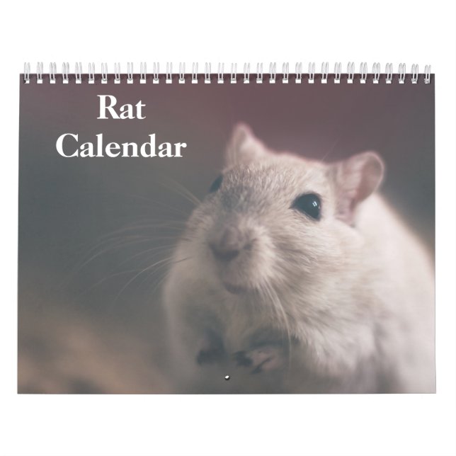 2027 Ratte Kalender (Titelbild)