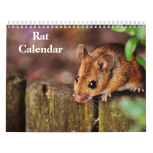 2027 Ratte Kalender
