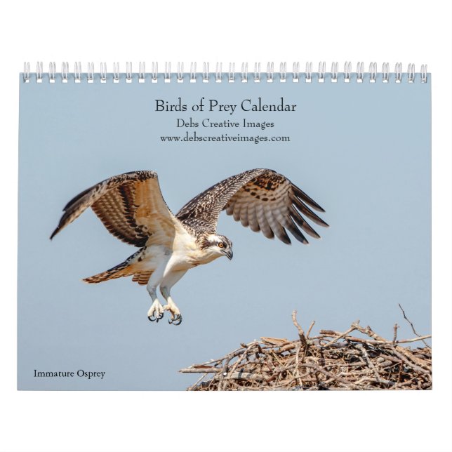 2027 Raubvögel Nordamerikas, Greifvögel Foto Kalender (Titelbild)