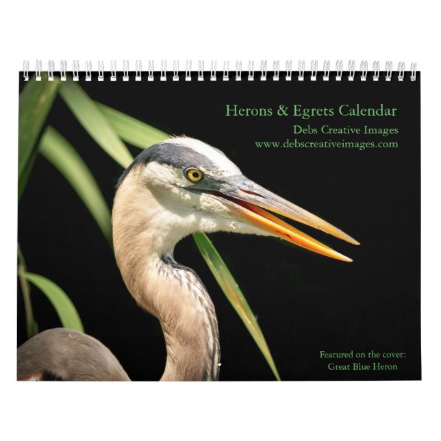 2027 Reiher & Silberreiher | Feuchtgebiets-Vogel-F Kalender (Titelbild)