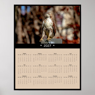 2027 Roter Milan Wandkalender thronender Raubvogel Poster