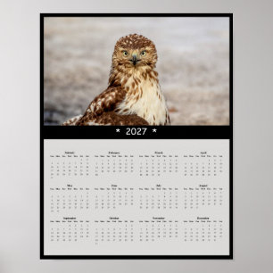 2027 Roter Schwanzbussard-Wandkalender - Große Aug Poster