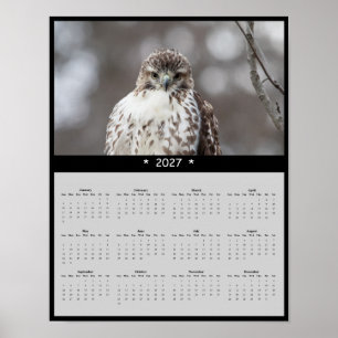 2027 Roter Schwanzbussard Wandkalender Wachsamer J Poster