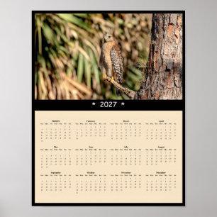 2027 Rotflügelbussard-Wandkalender - Wald Poster