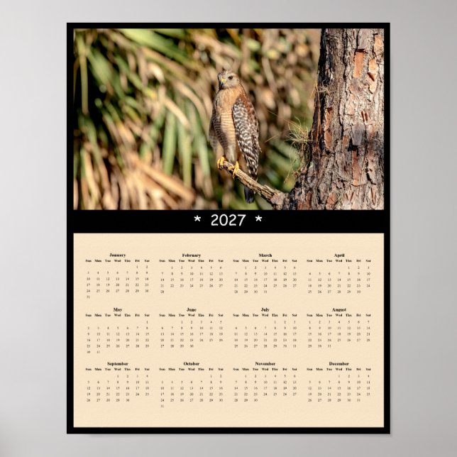 2027 Rotflügelbussard-Wandkalender - Wald Poster (Vorne)