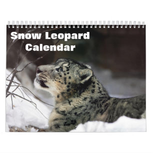 2027 Schneeleopard Kalender