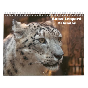 2027 Schneeleoparden-Kalender Kalender