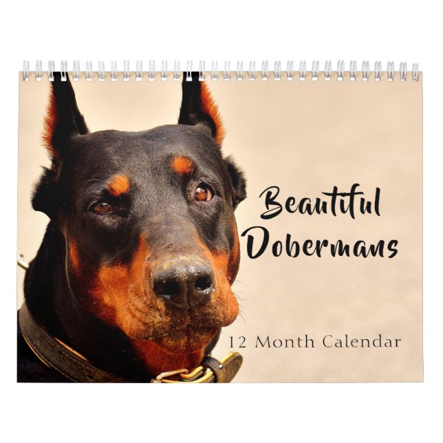 2027 Schöne Dobermänner Kalender (Titelbild)