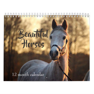 2027 Schöne Pferde Kalender