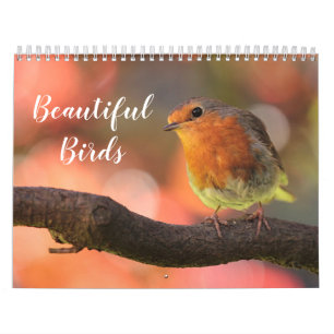 2027 Schöne Vögel Kalender