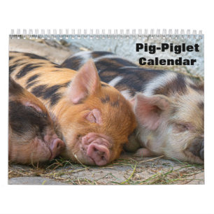 2027 Schwein-Ferkel-Kalender Kalender