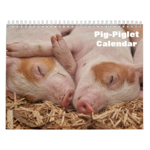 2027 Schwein-Ferkel-Kalender Kalender