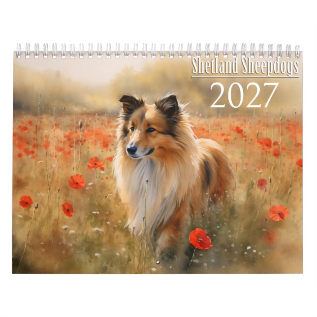 2027 Shetland-Schäferhund Kalender (Titelbild)