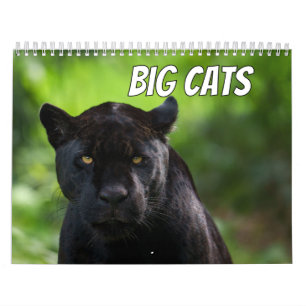 2027 Signature Großkatzen Sammlung Kalender
