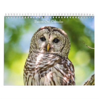 2027 Streifenhörnchen | Geheimnisse des Waldes Kalender