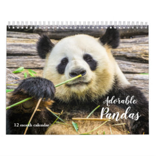2027 Süße Pandas Kalender