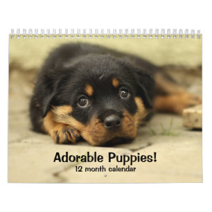 2027 Süße Welpen Zwölf-Monats-Hund Kalender