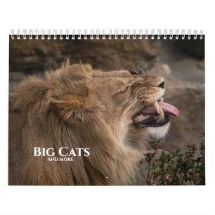 2027 Timeless Wild Cats Kollektion Kalender