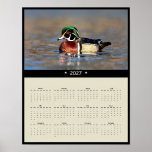 2027 Waldenten-Wandkalender - Lebendiges Gefieder Poster