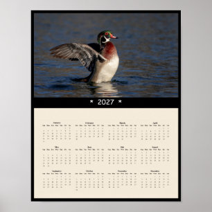 2027 Waldenten-Wandkalender - Männliche Erpel Poster