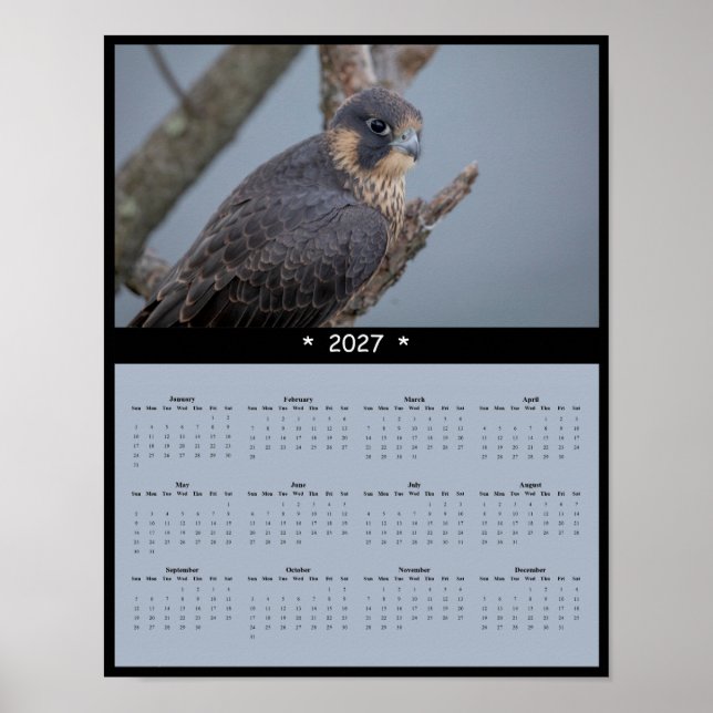 2027 Wanderfalken-Wandkalender Poster (Vorne)