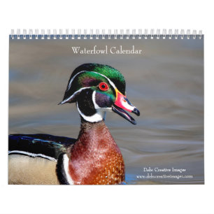 2027 Wasservögel & Sumpfvögel New Yorker Wildtie Kalender