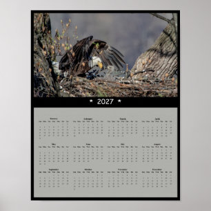 2027 Weißkopfseeadler-Wandkalender - Wachsamer Wäc Poster
