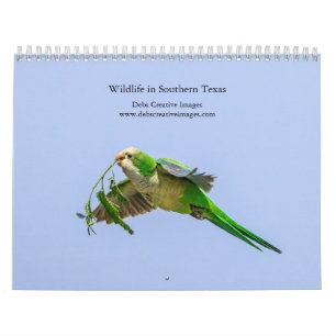 2027 Wildlife von Südtexas Naturfotografie Kalender