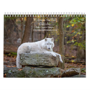 2027 Wölfe im Herbst   Herbst-Wolf-Fotografie Kalender