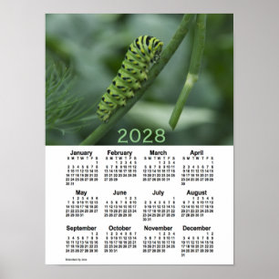2028 Raupe Schlucken Schwanz von Janz Poster