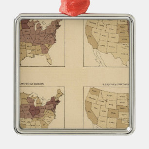 204 Manufactures/sq Meile Silbernes Ornament