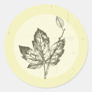 20 - 1,5 Umschlag Aufkleber Handgezogene Herbstlau