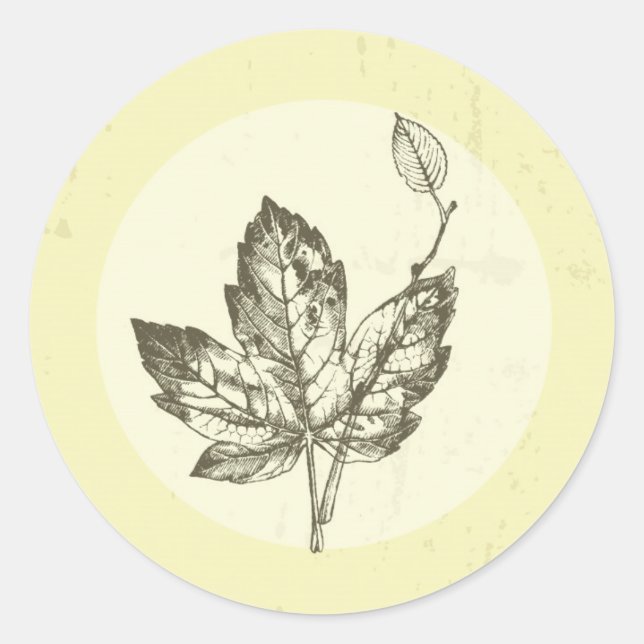 20 - 1,5 Umschlag Aufkleber Handgezogene Herbstlau (Vorderseite)