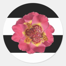 20 - 1,5 Umschlag Aufkleber Moderner Streifen Schw